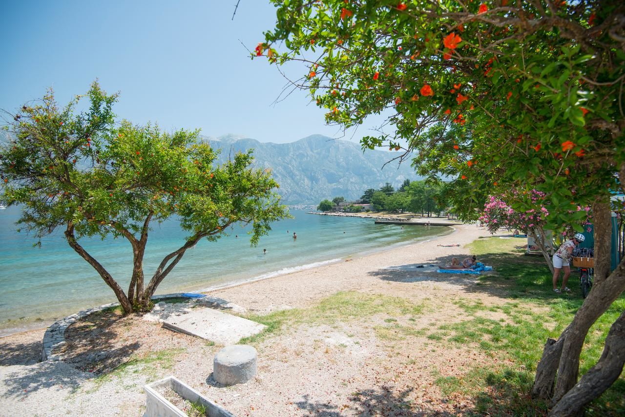 Апартаменты Villa MilaMi Котор-44